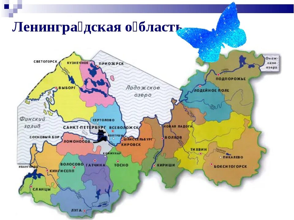 Ленинградская область ставропольский край. Карта Ленобласти с районами и городами. Карта административных районов Ленинградской области. Районы лен обл на карте. Карта Санкт-Петербурга и Ленинградской области с районами.