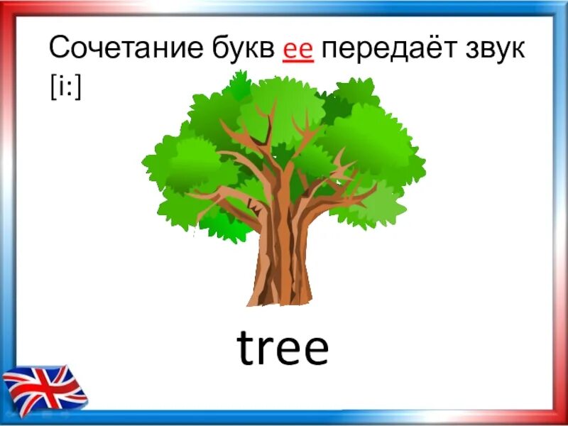 Дерево на начало слова. Деревья на английском. Карточки деревья на английском. Карточки по английскому языку дерево. Дерево с английскими буквами.