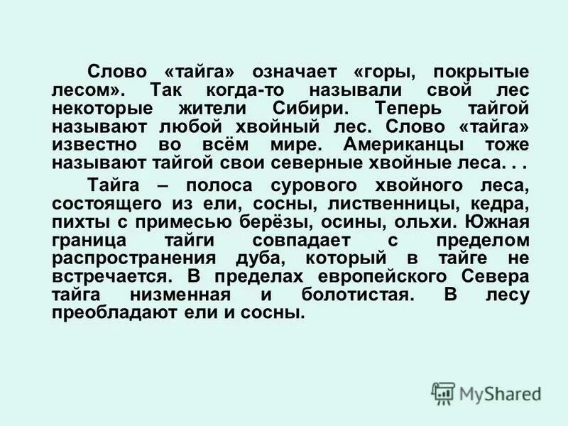Что значит тайга. Значение слова тайга. что означает слово тайга. таежная текст. что обозначает слово тайга 2 класс.