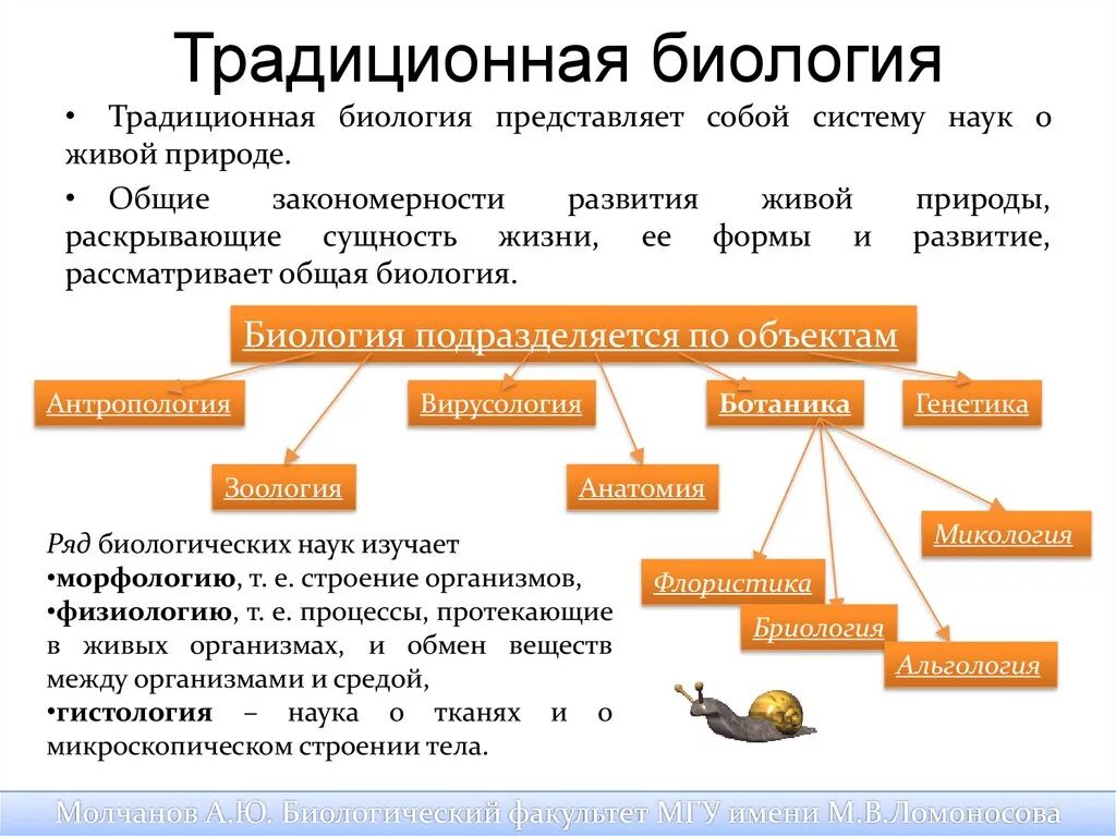 Какие есть формы развития. Биология как наука презентация. Развитие это в биологии. Формы развития биология. Примеры развития в биологии.