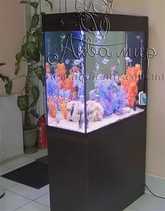 Аквариум длина 50см. Аквариум длина 50см. Аквариум 200л со стеклянной крышкой круглой. Красивый домашний аквариум. Аквариум прямоугольный атолл без крышки, 100 литров, 80 х 25 х 50 см.