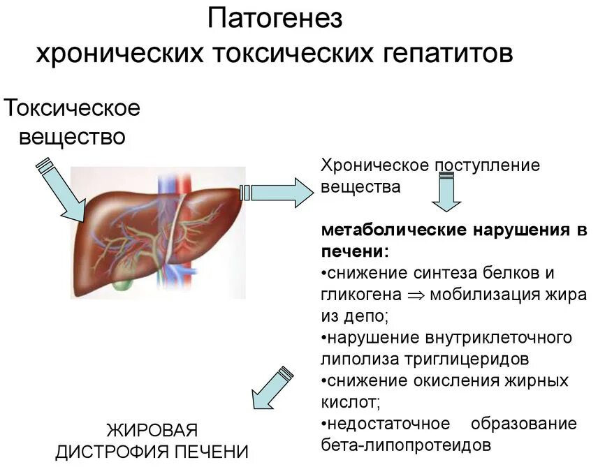 Схема патогенеза лекарственного гепатита. Хронический токсический гепатит патогенез. Механизм развития лекарственного гепатита. Патогенез алиментарного токсического гепатита. Токсическое поражение симптомы