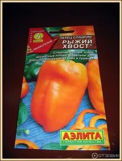 Семена пилот