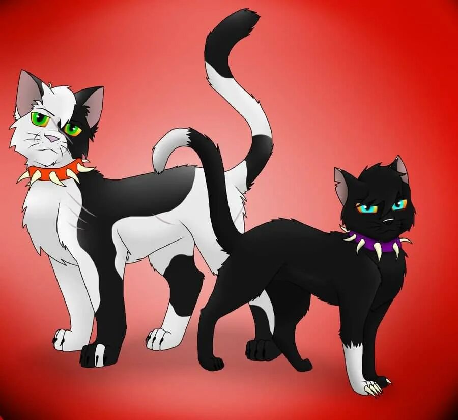 Два кота супер кот. Бич коты воители кровавое племя. коты воители костяк. коты воители арты бич и костяк. коты воители кровавое племя.