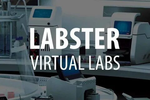 Lab for you