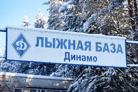Динамо лыжная