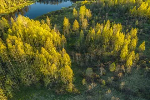 Заповедник лесное