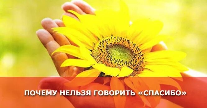 Нужно ли говорить спасибо. Почему нельзя говорить спасибо. почему не говорят спасибо. почему говорят спасибо. благодарю вместо спасибо.