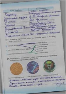 Решение по биологии 5