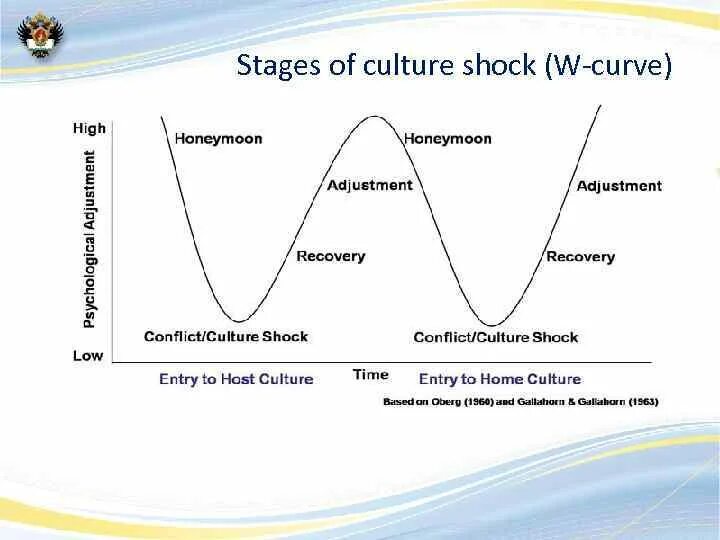 A bit of a shock. Stages of culture shock. cultural shock stages. culture shock curve. 5 stages of culture shock.