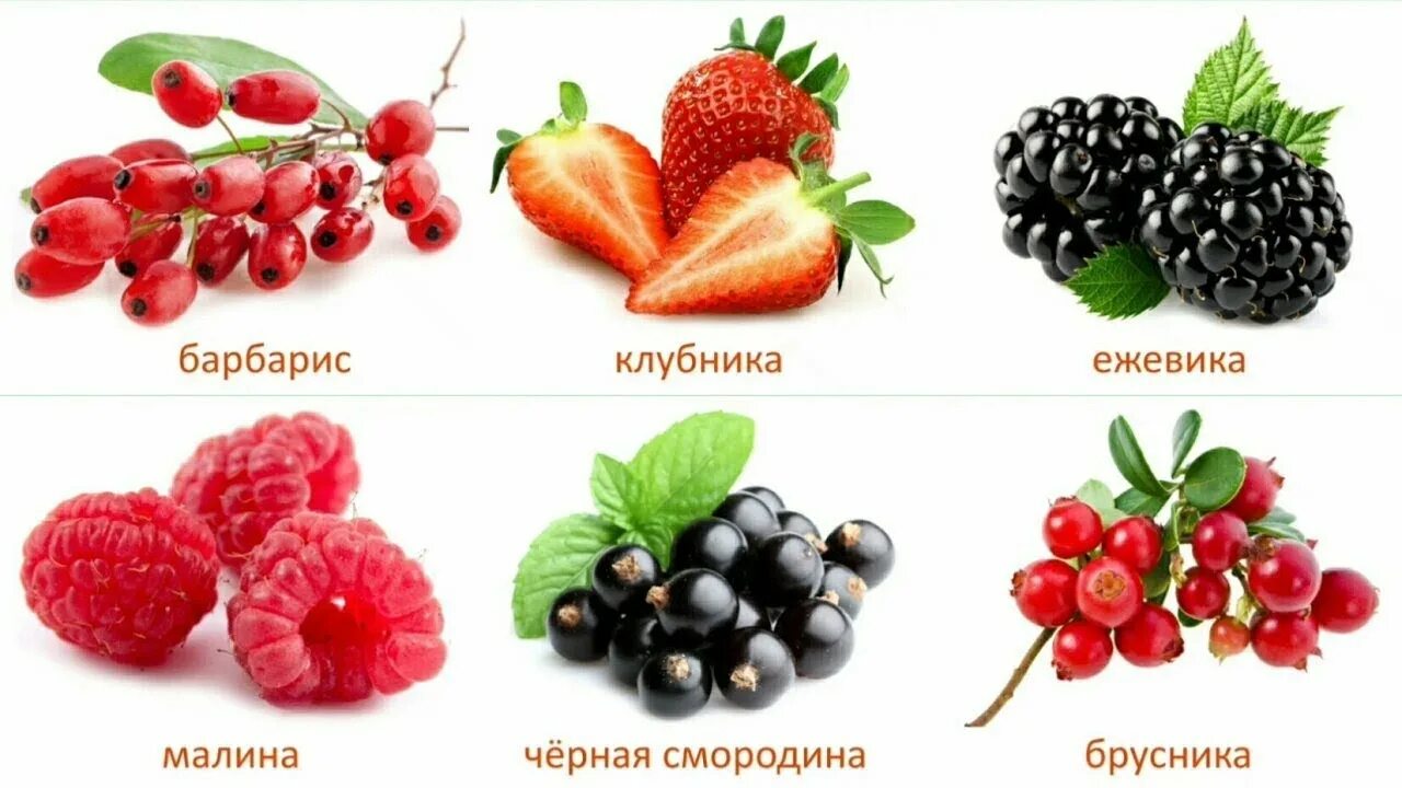 Садовые ягоды. Ягоды для детей. Ягодные кустарники рисунок. Ягоды для дошкольников. Раздаточные карточки ягоды.