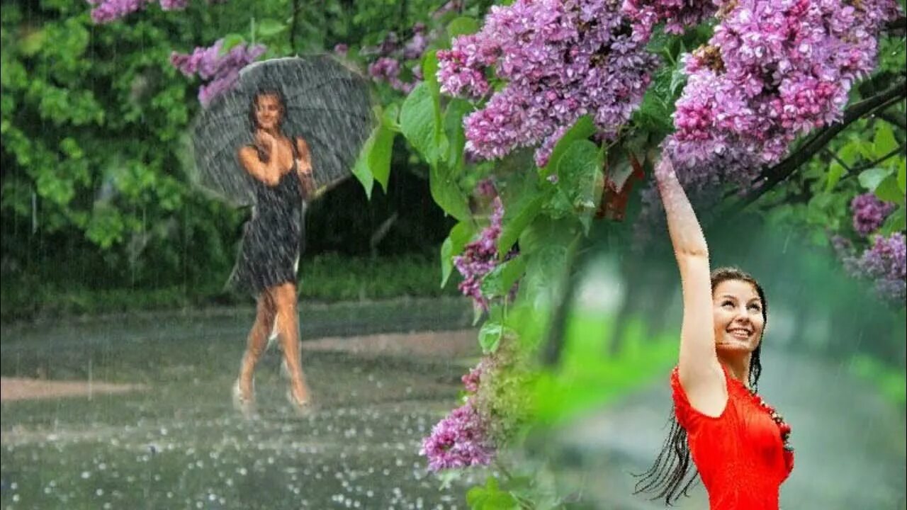 Исполнение песни лето. Летний дождь. Сирень под дождем. Девушка под дождем.