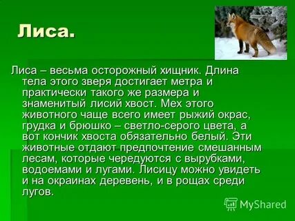 Экологическое описание животного