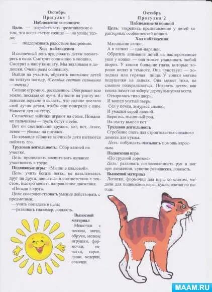 Конспект прогулки в 1 младшей группе. Наблюдение за кошкой. наблюдение за кошкой старшая группа. картотека прогулок в средней группе сентябрь. наблюдение за кошкой средняя группа на прогулке.
