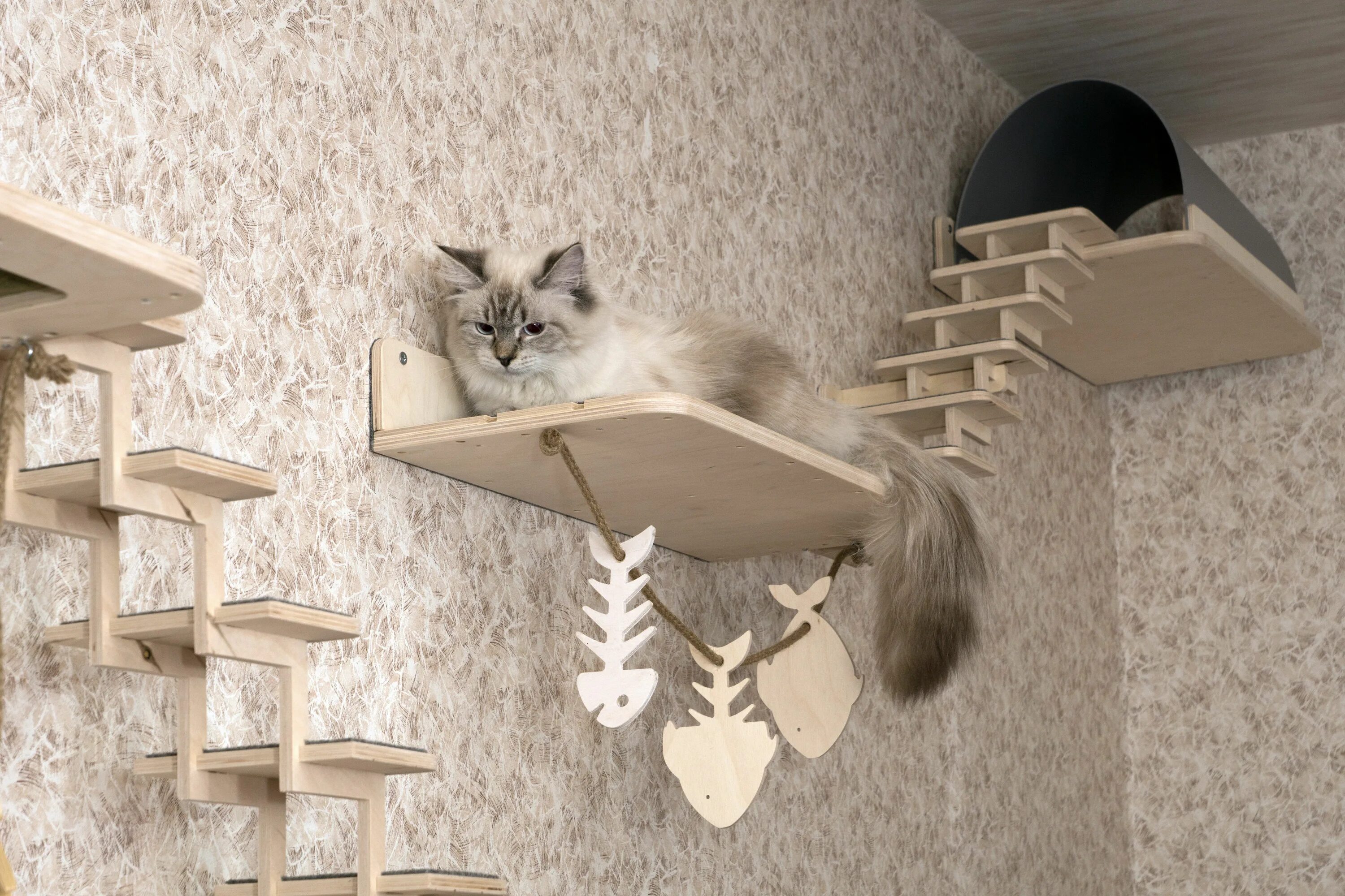 Развлечения для котов. Кошачий домик лазалка. Кошачий комплекс для Мейн куна. Настенные полки для кошек. Игровой комплекс для кота на стену.