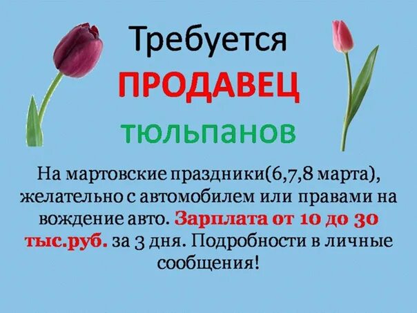 В цветочном магазине было 95 тюльпанов продавец. Продавец тюльпанов. продавец тюльпана в марте. продавцы тюльпанов на 8.