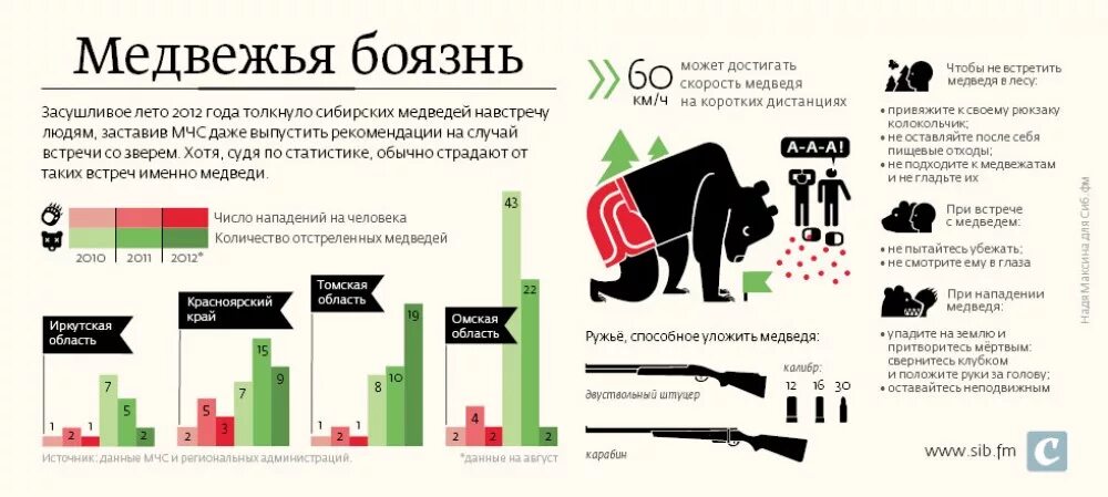 Боязнь медведей как называется. Статистика нападения медведей в России. Статистика нападений медведей на человека в России. Медведь инфографика. Скорость интернета сибирский медведь