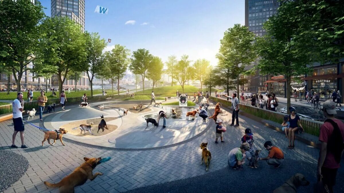 Городское пространство. Площадки для собак Нью Йорк. Собачий парк. Собачий парк проект. Pet park