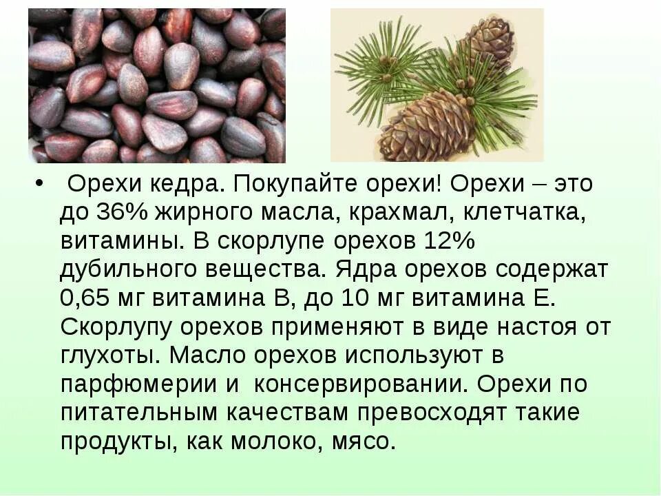 Польза и вред кедровых. Кедровые орехи польза. Кедровый орех презентация. Витамины в кедровых орехах. Чем полезен Кедровый орех.