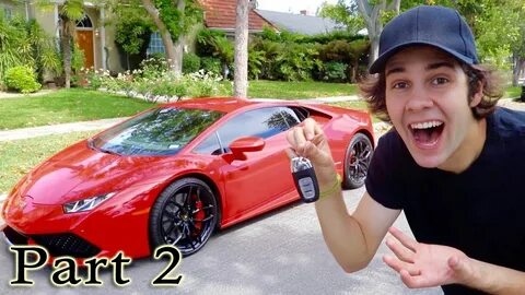 Lambo for hamster ceo что дает