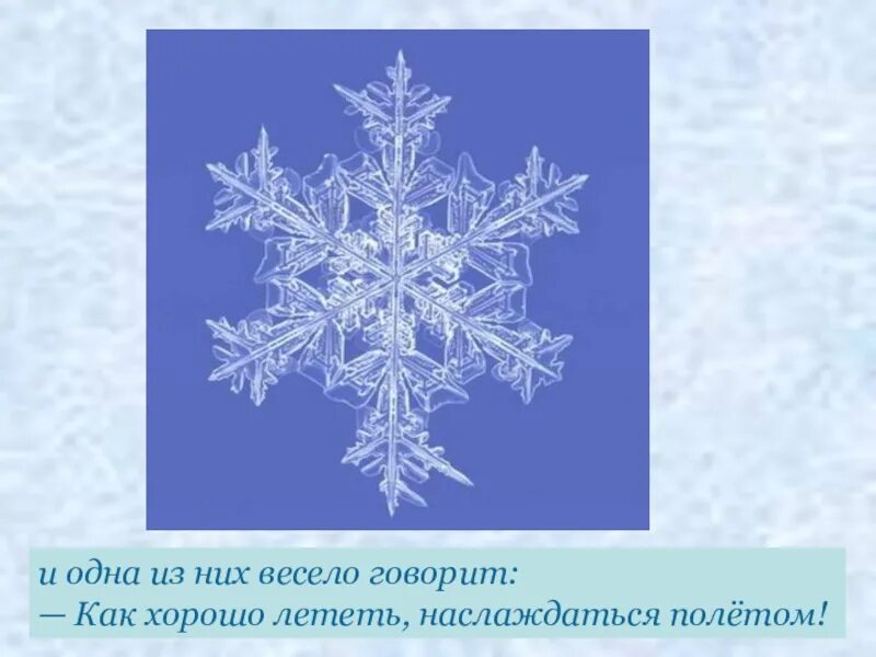 Режима 2 снежинки. Раз Снежинка два Снежинка Медвежонок. Когда снежинку что легко летает. Минусовку снежинки