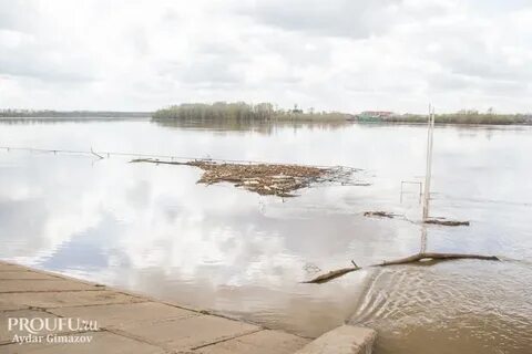 Уровень реки в районе шакши