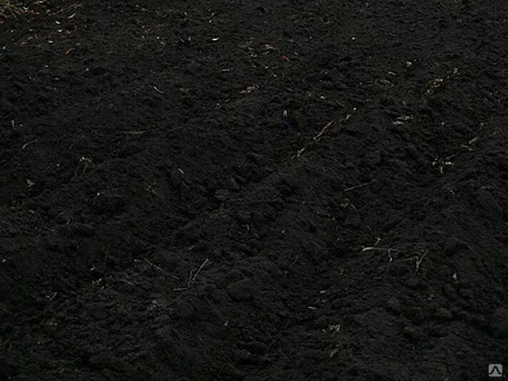 Плодородная почва темного цвета. Земля грунт. земля чернозем. черные земли. земля черная плодородная.