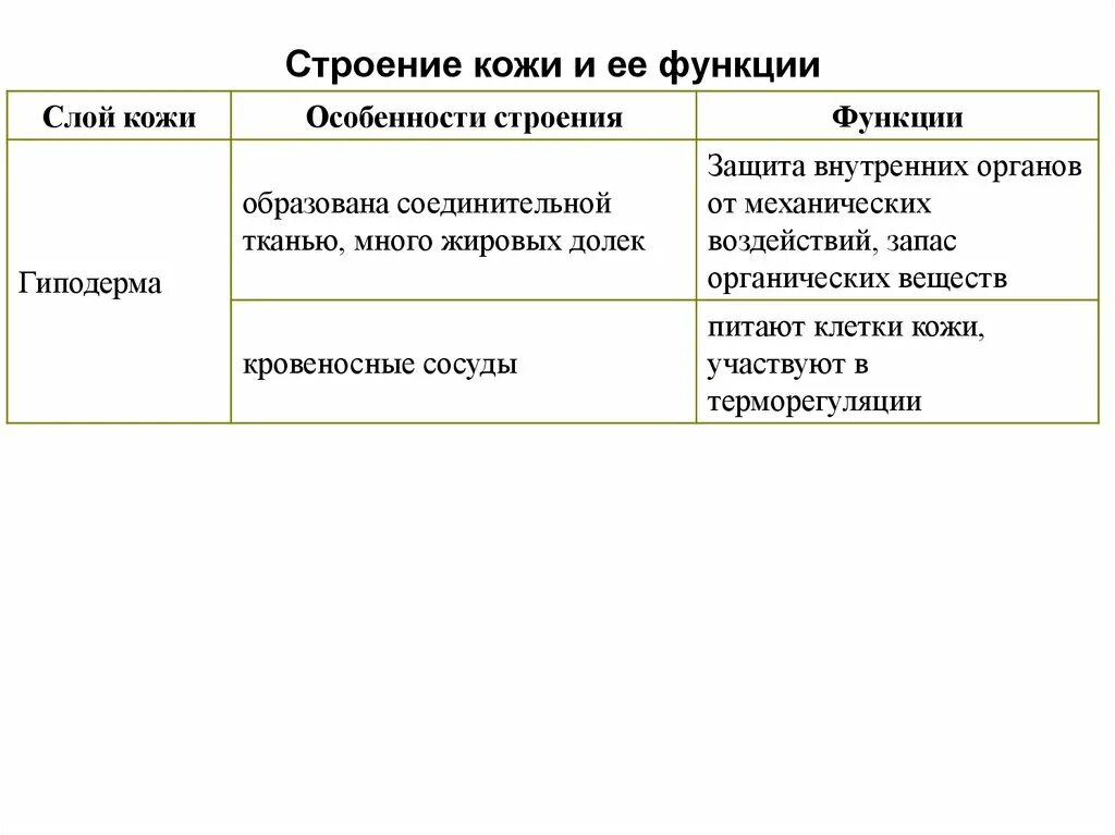 Гиподерма строение и функции. Слой кожи гиподерма функции. Строение и функции кожи ткань структура функции таблица. Гиподерма функции и строение таблица слой кожи. Клетчатка строение и функции