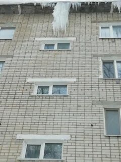 Камышинская 49