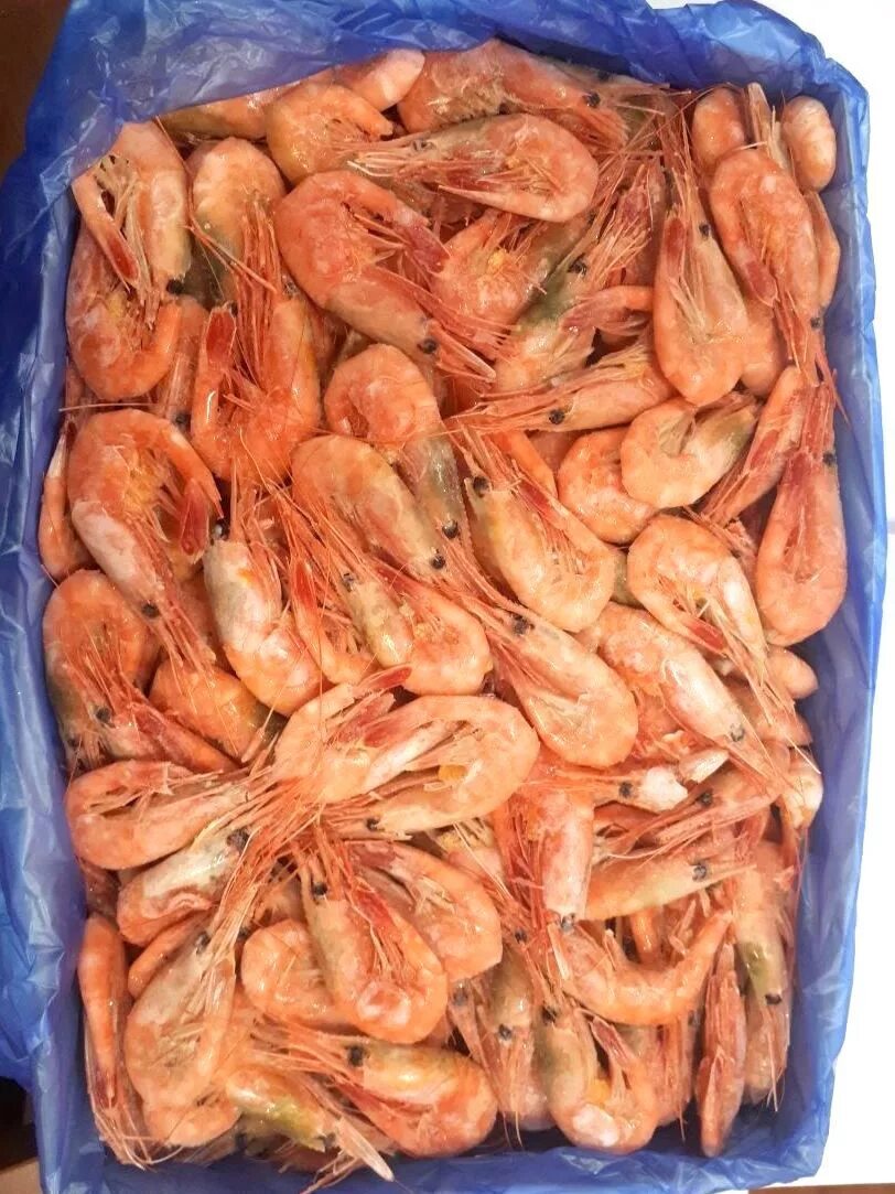 креветка магаданрыба 50/70. креветка 50. креветки королевские вичи 60. креветки 50/70. креветки в/м королевские 50/70 (1/5) иран.
