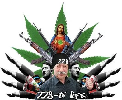 Что значит 228