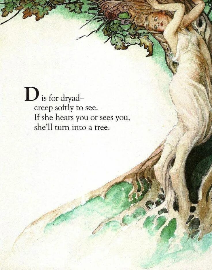 Help i m turning into a tree