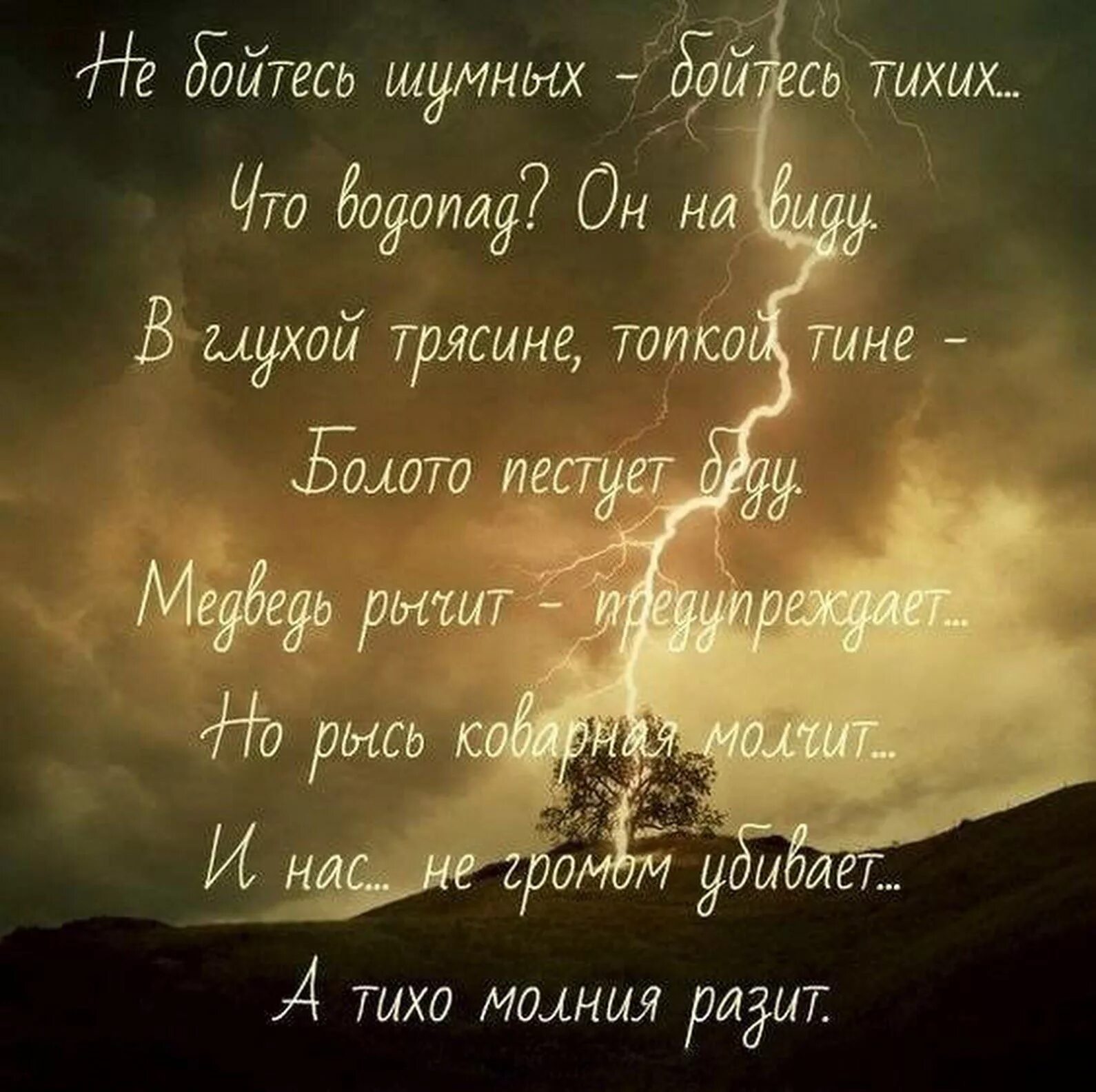 Бойтесь тихих слов. Не бойся шумных бойся тихих стих. Не бойтесь шумных бойтесь. Не бойтесь шумных бойтесь тихих. Бойтесь тихих людей цитаты.