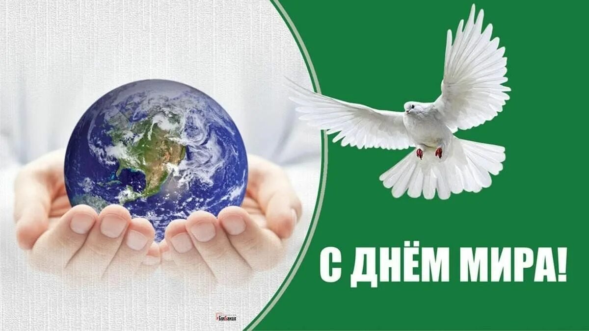 День миру 2021. День миру 2021. День миру 2021. День миру 2021. Международный день ипа.