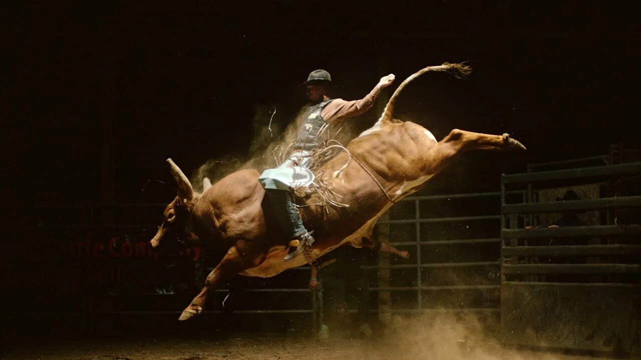 Rodeo speed