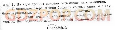 Солнце дрожит в воде