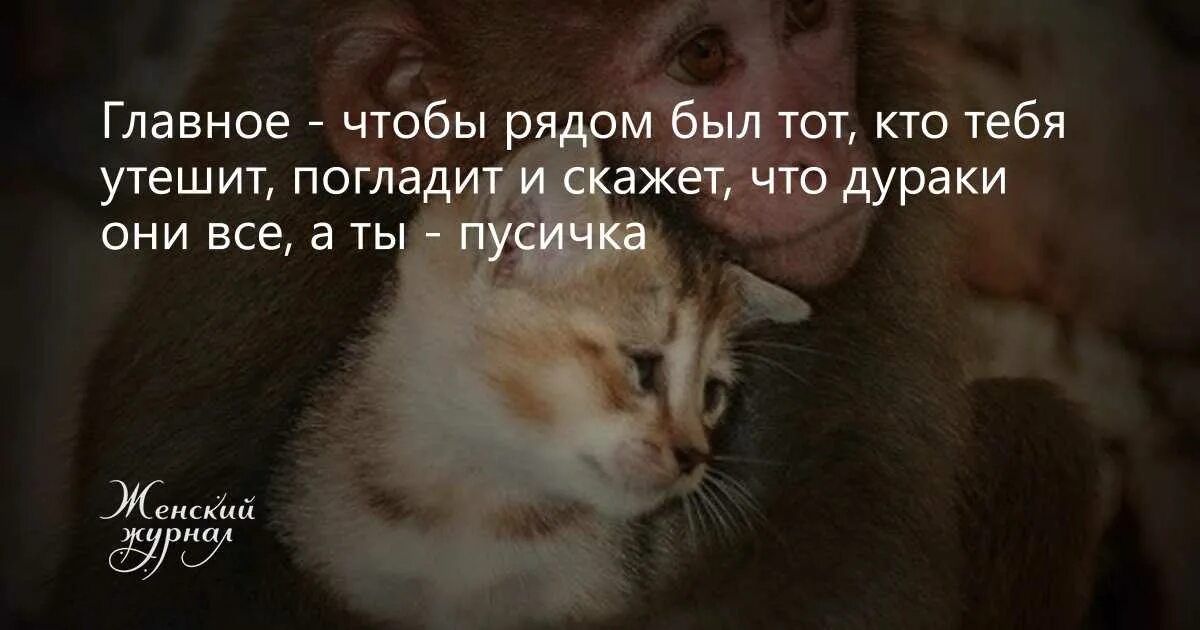 Главное чтобы рядом был тот кто тебя утешит погладит. Главное рядом. Главное быть рядом. Главное чтобы рядом был тот. Главное что б он был