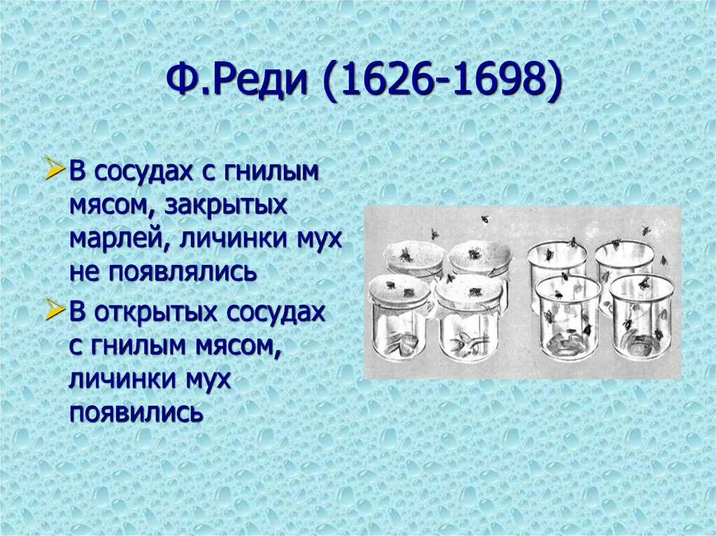 Франческо реди итальянский врач. Покажи реди. Эксперимент франческо реди. Покажи реди. Теория франческо реди.