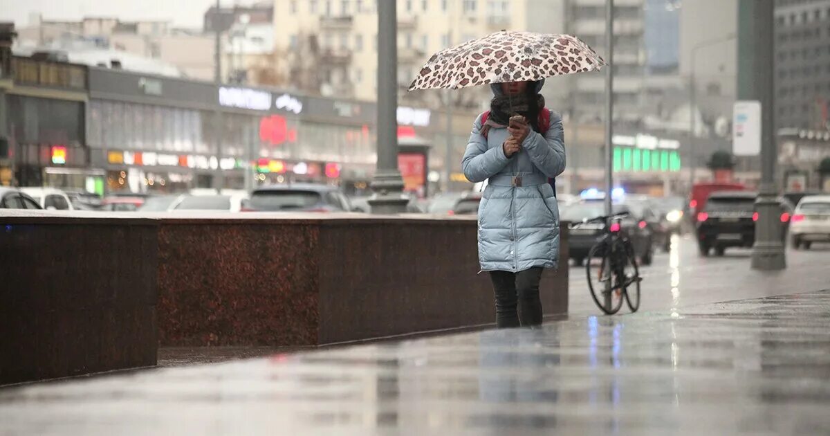 Дождливый день. Дождь в Москве. Дождливая погода. Дождь и ветер.