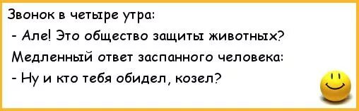 Звонили в 4 утра. Анекдот про утро. Анекдот это общество защиты животных. Кто тебя козел обидел. Утро красит нежным светом.