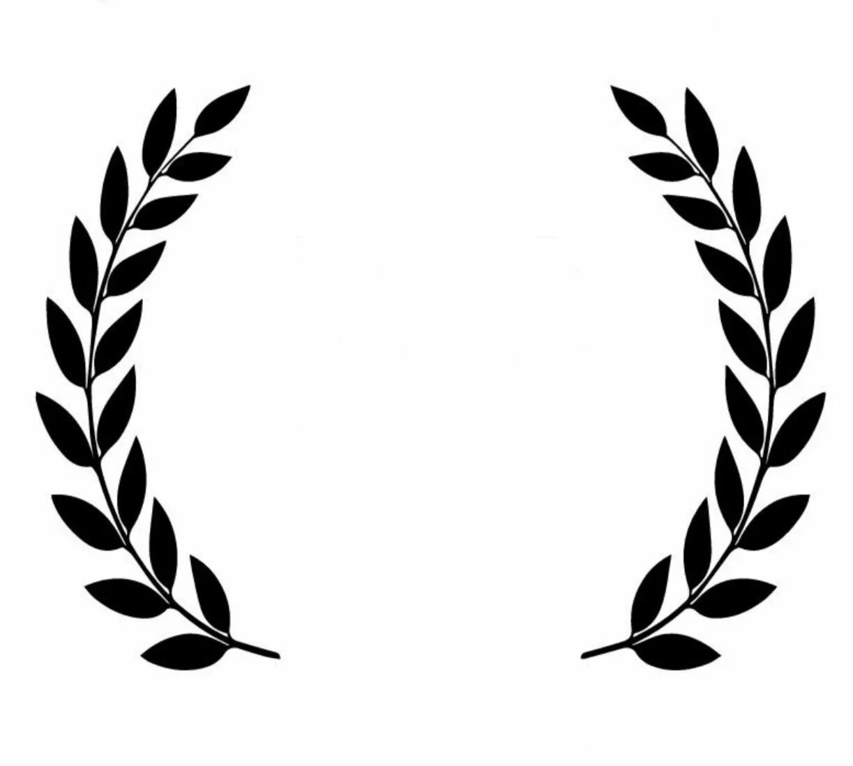 Ветка с листьями. Оливковый венок. Оливковая веточка. Свг ветвь оливы. Ветви вектор.