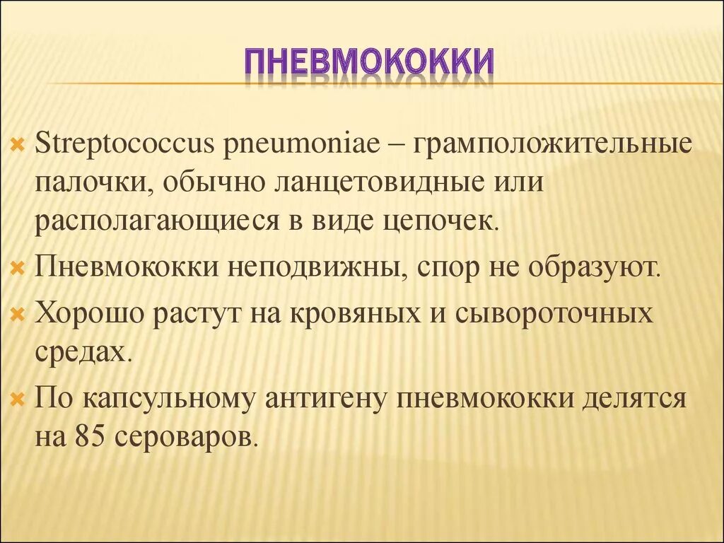 Антигены пневмококков. Пневмококк антигены. Пневмококк бактериологический метод. Факторы патогенности пневмококков. Streptococcus pneumoniae строение.