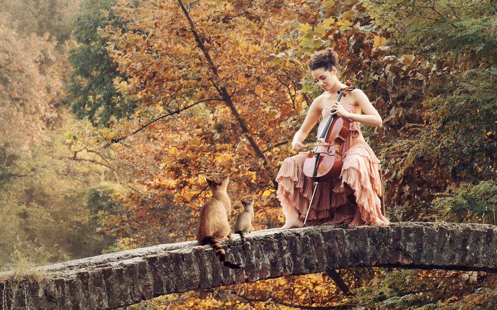 Woman cat песня. Виолончель на природе. Фотосессия с виолончелью на природе. Девушка с котом осень. Фотосессия с котом на природе.