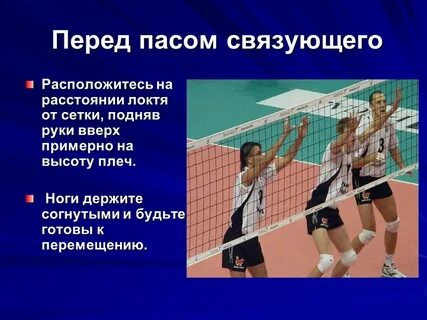 Пас делают
