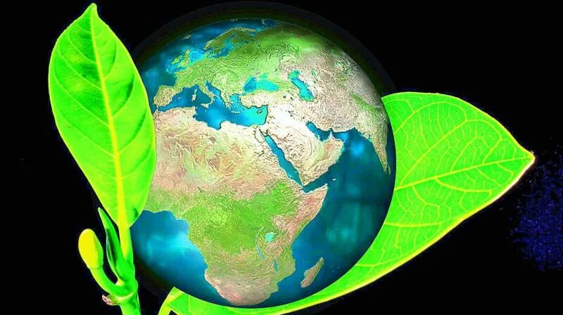 Биоразнообразие земли. Биоразнообразие это в экологии. Экологическое биоразнообразие. Международный день биологического разнообразия. Животные в круге.