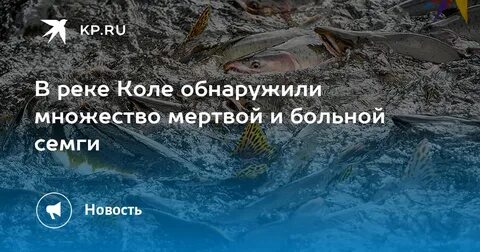 Река колю