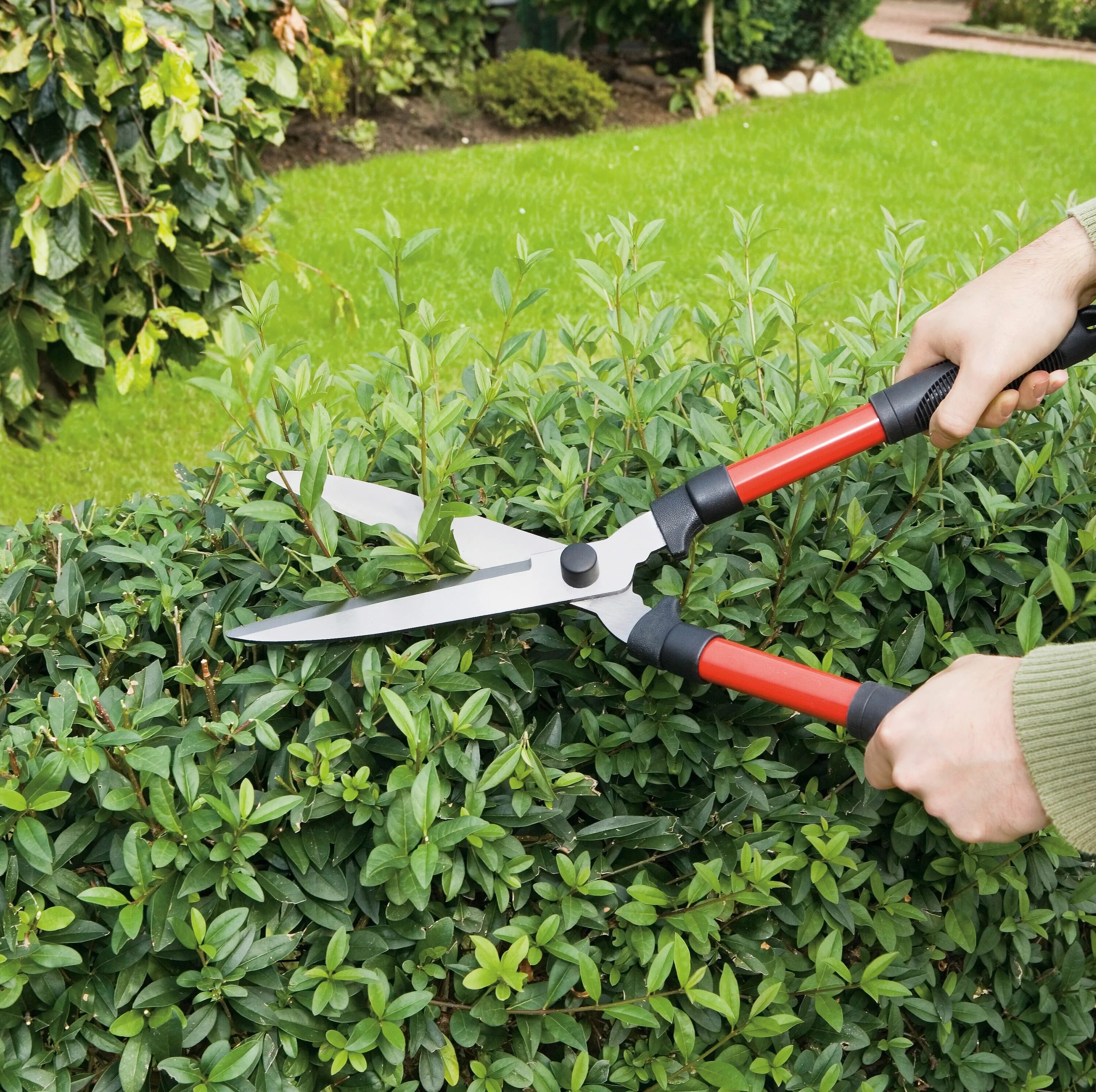 обрезка ножницы. кусторез palisad 60591, 560мм. секатор прививочный un-820. секатор садовая ножница. садовые ножницы для стрижки.