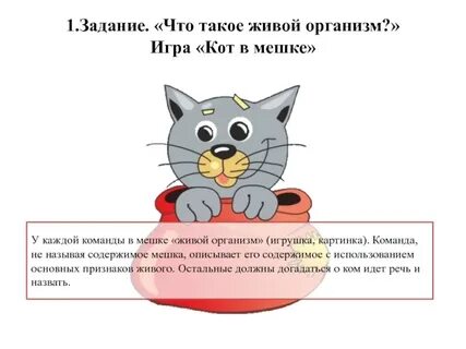 Котики в прямую линию учи