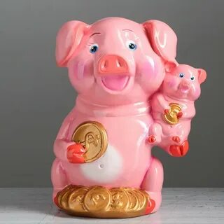 Пенакония свинки