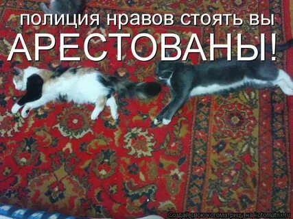 Не злобивый нрав